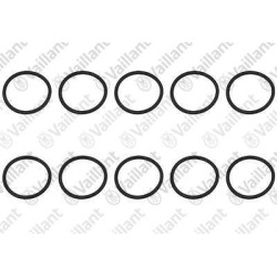 O-RING (10 PZ.) 0020045979