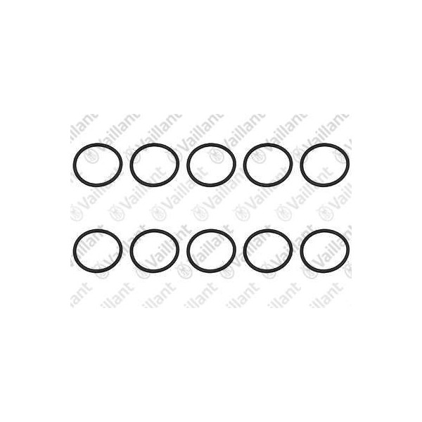 O-RING (10 PZ.) 0020045979