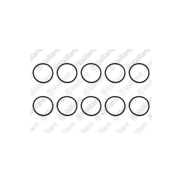 O-RING GRUPPO GAS (10 PZ.) 0020060804