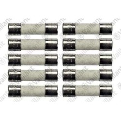 FUSIBILE, 2,0 A T2H (10...