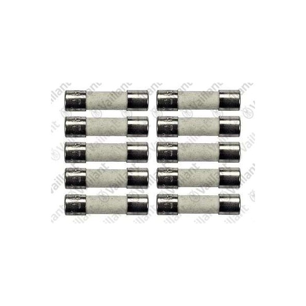 FUSIBILE, 2,0 A T2H (10 PZ.) 0020067507
