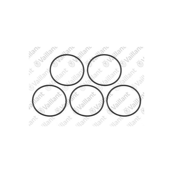 O-RING, (5 PZ.) 0020077919