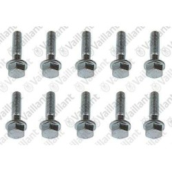 VITE M8X30 (10 PZ.) 0020081349