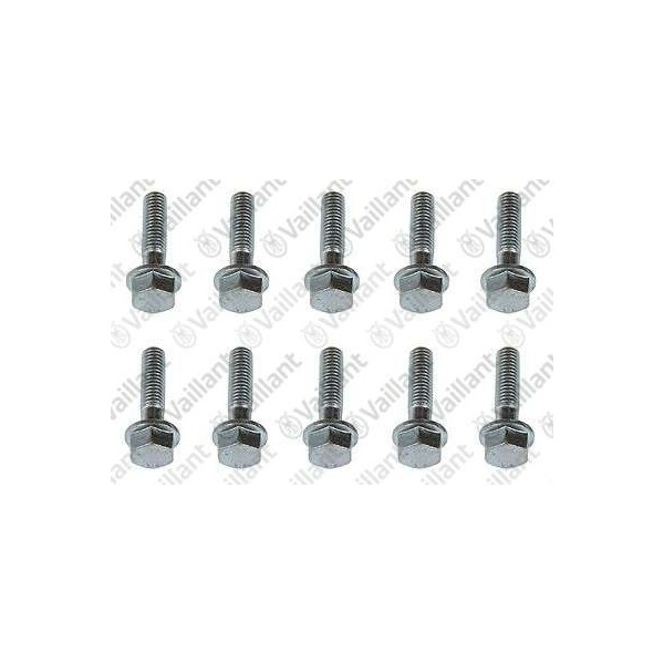 VITE M8X30 (10 PZ.) 0020081349