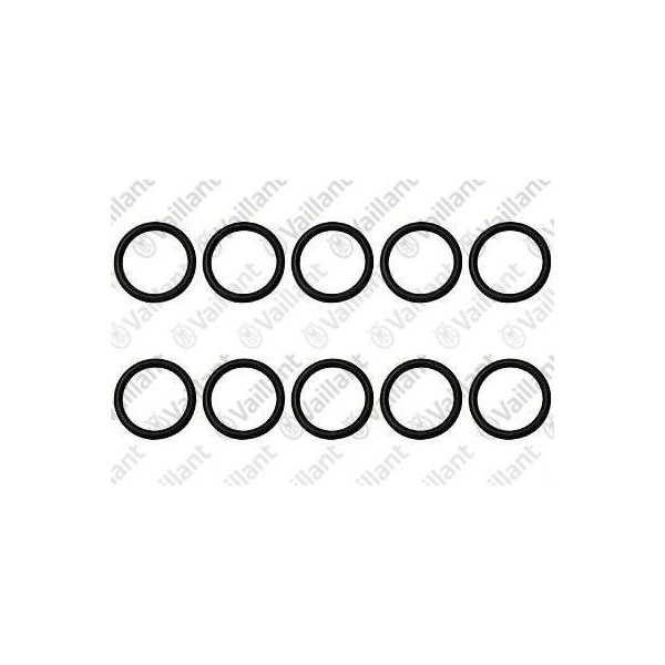 O-RING (10 PZ.) 0020085434