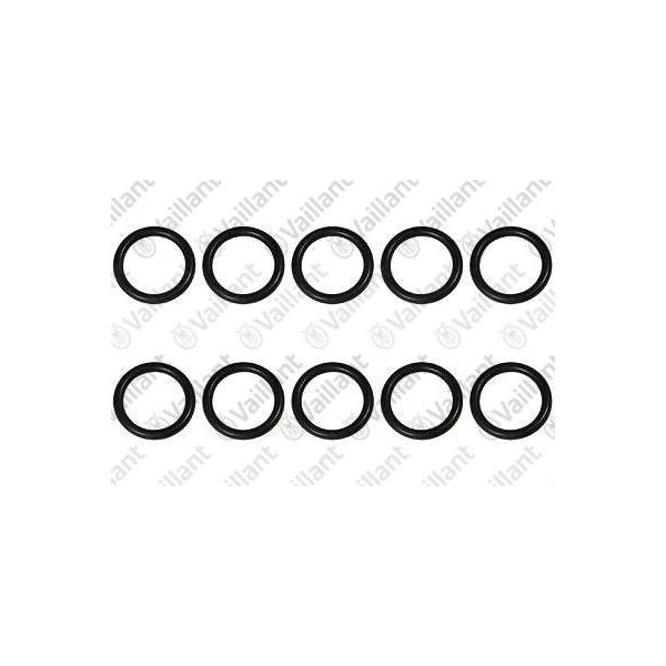 O-RING (10 PZ.) 0020085435