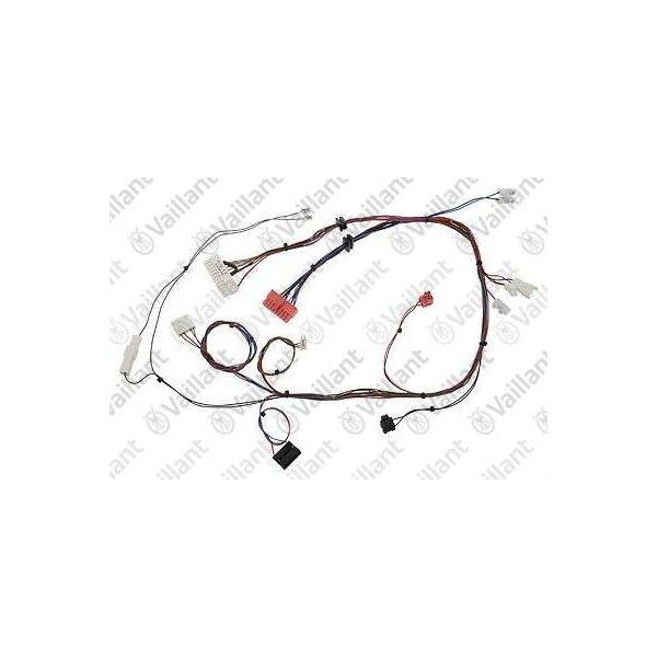 CABLAGGIO (ECOVIT EBUS) 0020086374