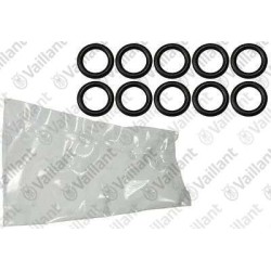 O-RING (10 PZ.) 0020096385
