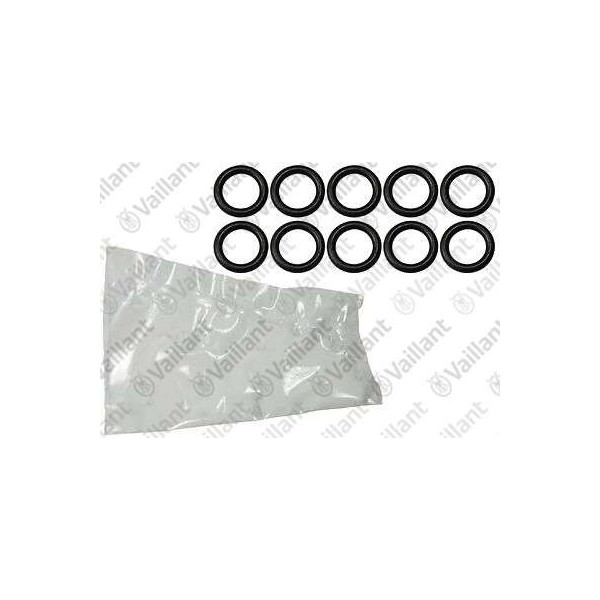 O-RING (10 PZ.) 0020096385