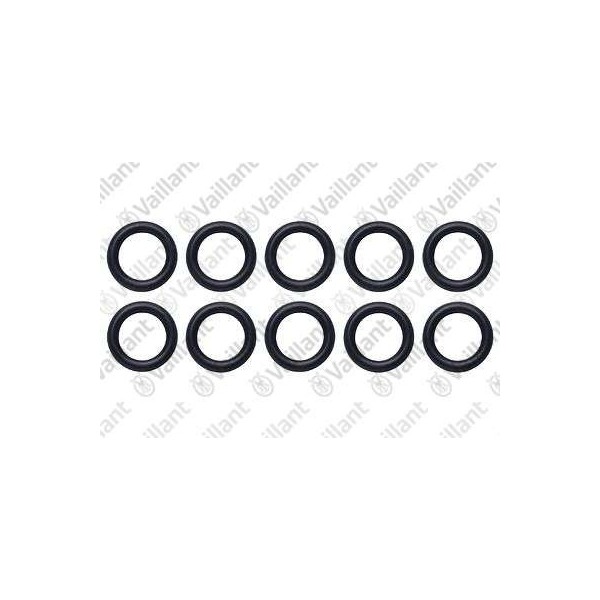 O-RING (10 PZ.) 0020107705