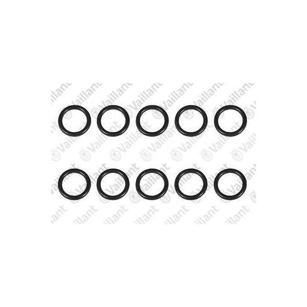 O-RING, (10 PZ.) 0020122897