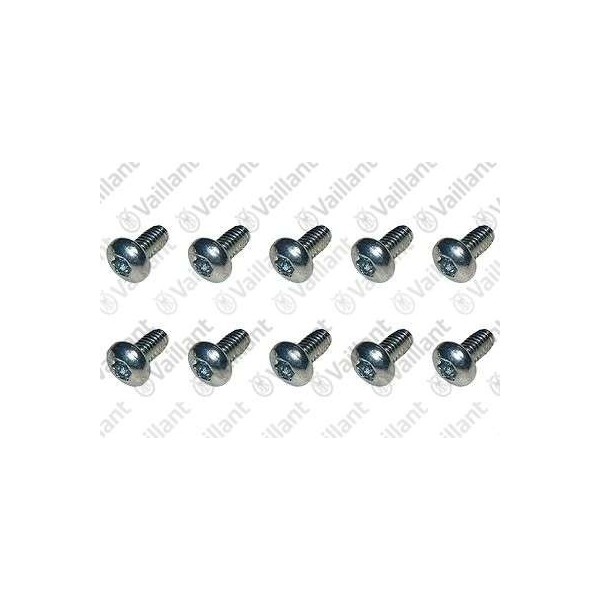 VITE (10 PZ.) 0020127099