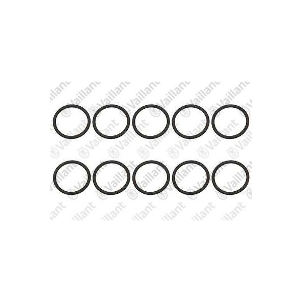 O-RING (10 PZ.) 0020132407
