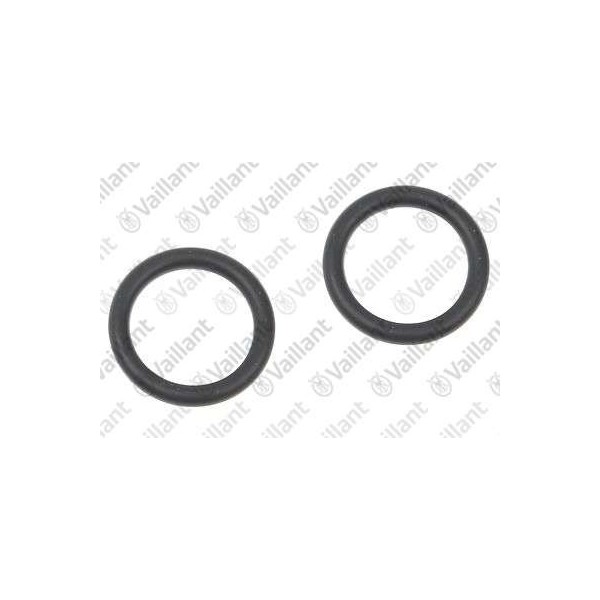 O-RING (2 PZ.) 0020142246