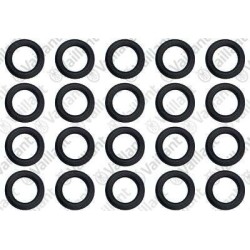 O-RING, (20 PZ.) 0020174525