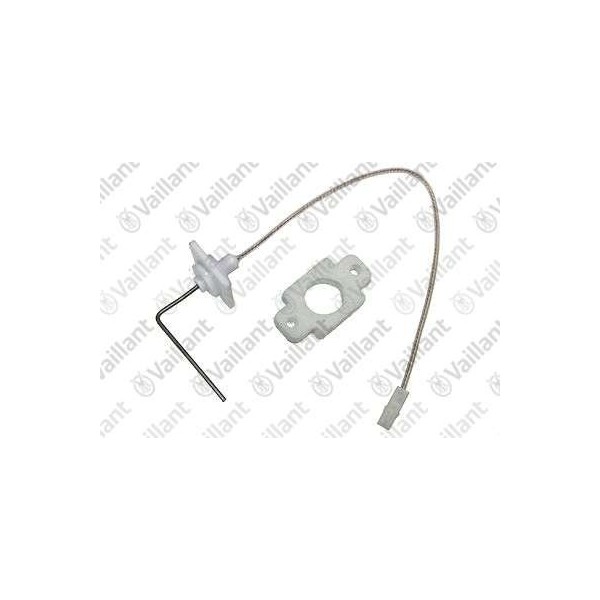 ELETTRODO RILEVAZIONE 49MM 0020210266