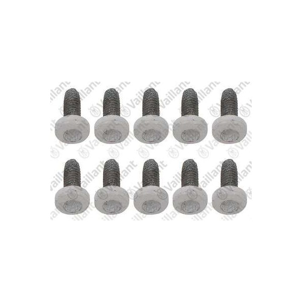 VITE, (10 PZ.) 0020213959