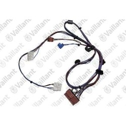CABLAGGIO, PRO 0020221619