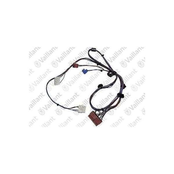 CABLAGGIO, PRO 0020221619