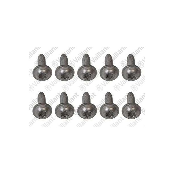 VITE, (10 PZ.) 0020266342