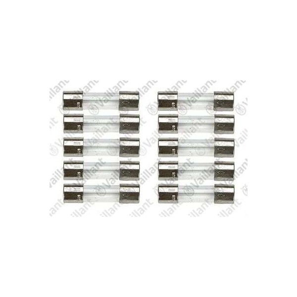 FUSIBILE 2,0 AT (10 PZ.) 251955