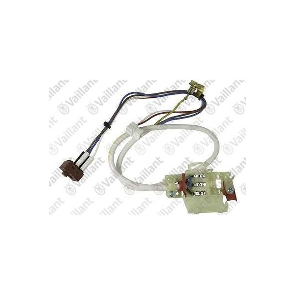 CAVO 255560