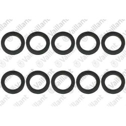 GUARNIZIONE (10 PZ.) 256620