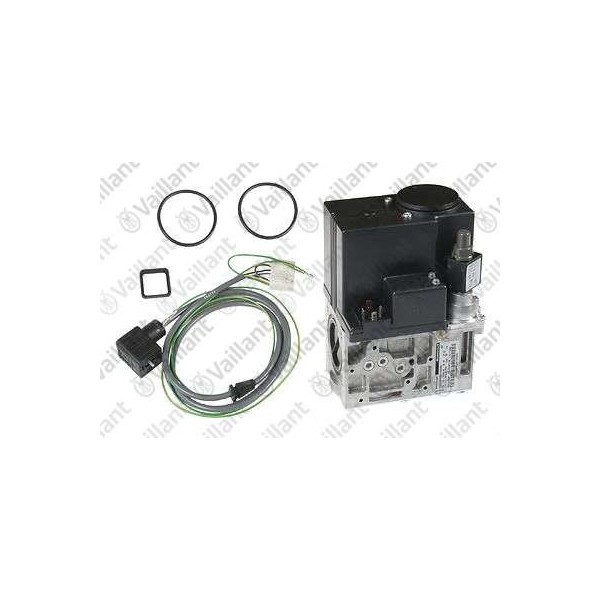 GRUPPO GAS 295476