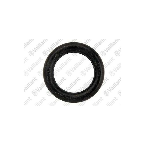 O-RING (10 PZ.) 980308