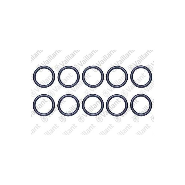 O-RING, (10 PZ.) 981151