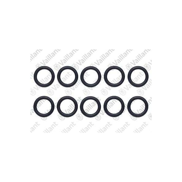 O-RING, (10 PZ.) 981154