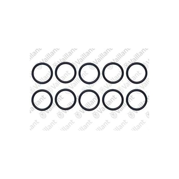 O-RING (10 PZ.) 981158