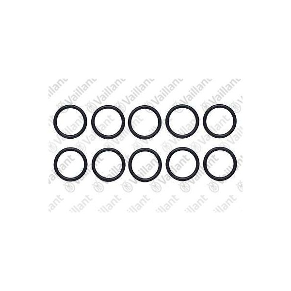 O-RING, (10 PZ.) 981163