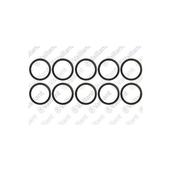 GUARNIZIONE (10 PZ.) 981169