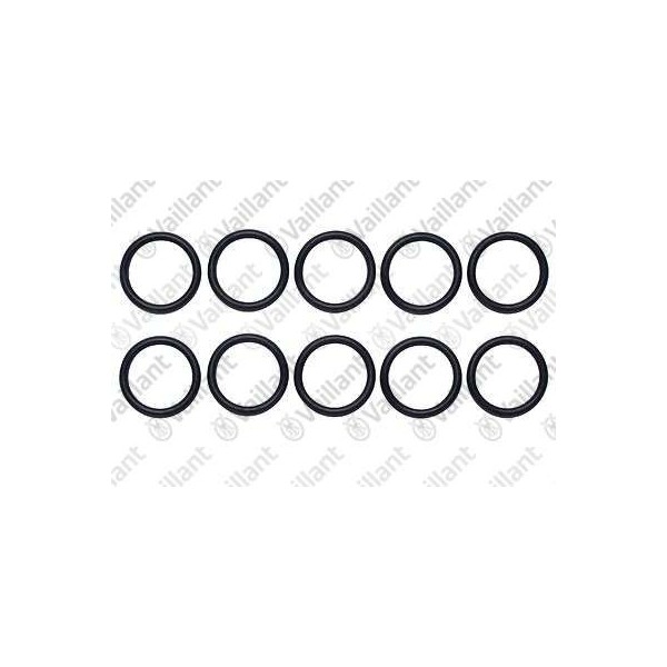 O-RING, (10 PZ.) 981170