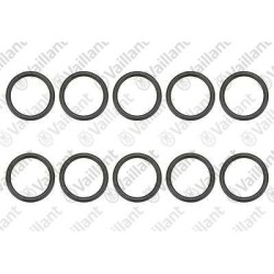 O-RING (10 PZ.) 981172