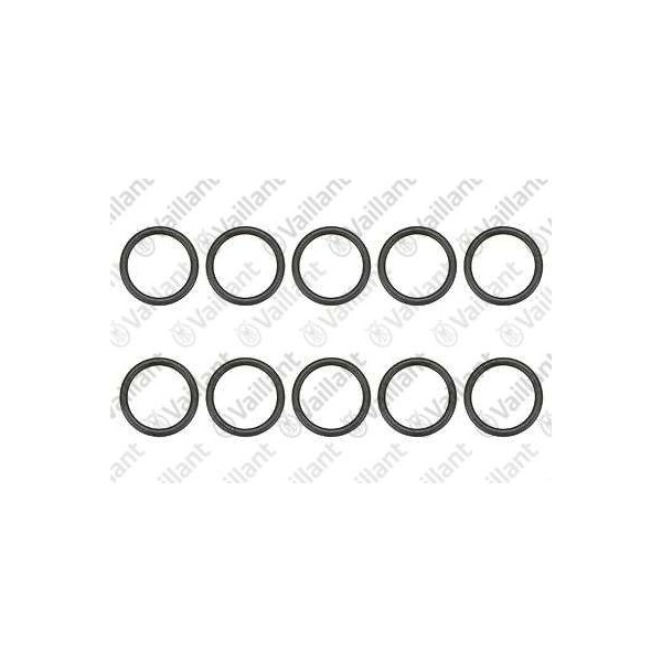 O-RING (10 PZ.) 981172