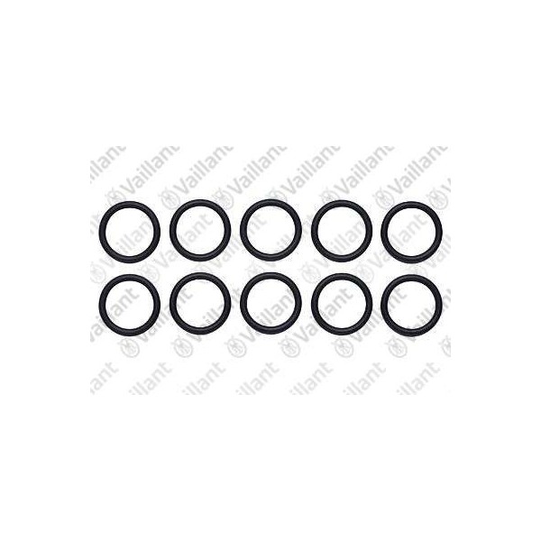 O-RING (10 PZ.) 981175