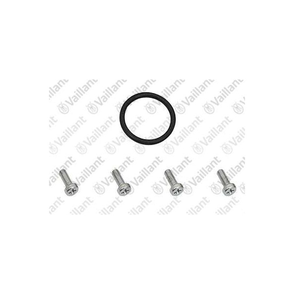 O-RING 981250
