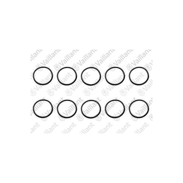 O-RING (10 PZ.) 981272