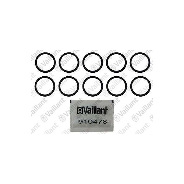 O-RING (10 PZ.) 981311