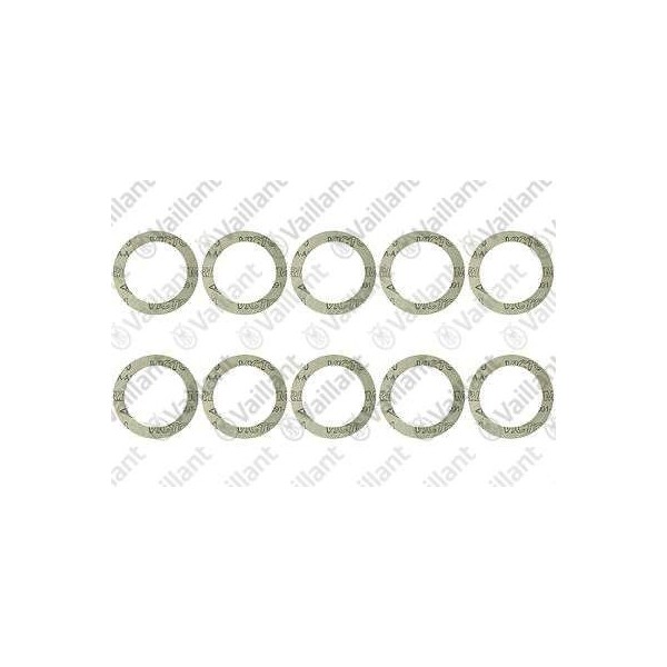 GUARNIZIONE (10 PZ.) 981356