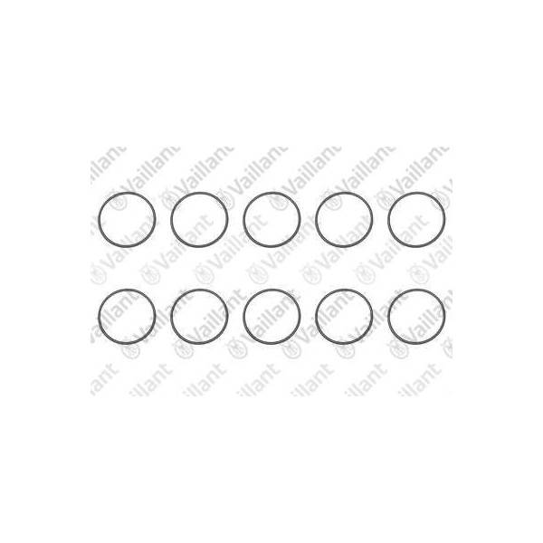 O-RING (10 PZ.) 981360