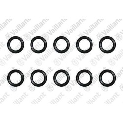 O-RING (10 PZ.) 981377