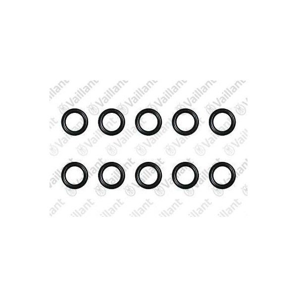 O-RING (10 PZ.) 981377